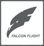 ТОО «Falcon Flight»