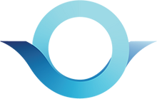 Fond «socialnye Proekty I Programmy»