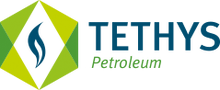 ТОО Tethys Services Kazakhstan