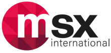 MSXI International