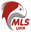 MLS IT Systems-Ukraine