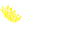 Ресторан «Frite«s» / ООО БВШ групп