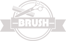 Brush Elektrostal