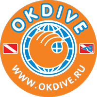 ИП Левина Диана Владимировна / Okdive