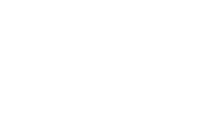 ИП ZIZ