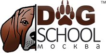 Dog school msk