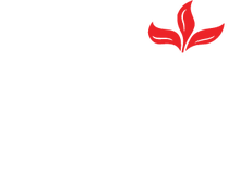 ООО «Америа Русс»