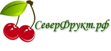 ООО Северфрукт