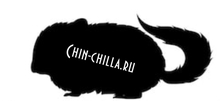 Chin-chilla.ru