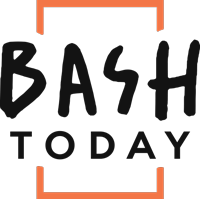 ООО «Бэш-тудэй» / BASH!Today