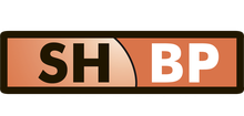 ООО «Системный Дом «Деловые партнеры» / ООО «СД «ДЕЛОВЫЕ Партнеры»