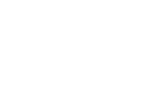 «Российская Государственная Библиотека Искусств»