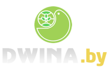 ООО «ДВИНА»