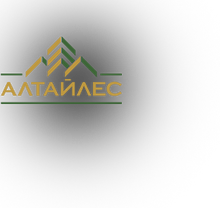 ООО «ЛХК «Алтайлес»