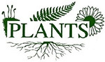 ТОО «Plants Company»