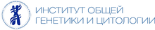 ИОГЦ