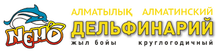 Алматинский Дельфинарий