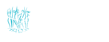 MarvelDjs