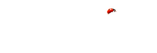 Artflorakirov
