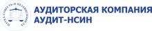 ООО «Аудит-НСИН»