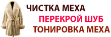 Chistkamekhasurgut
