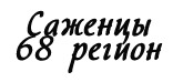 Sazhentsy 68