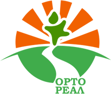 ООО «Ортореал»