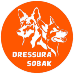 Dressura Sobak