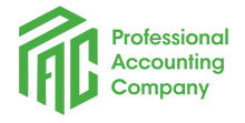 ТОО Professional Audit Company