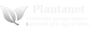 Plantanet