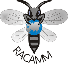 Apis Mellifera Mellifera L