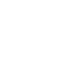 Neo Tours Cruises