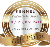 Goldribbon