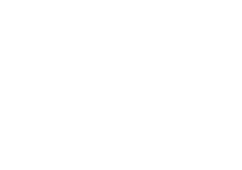 Globul ltd