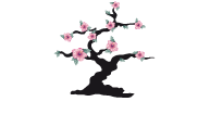 ООО «Бонсай КЛУБ»