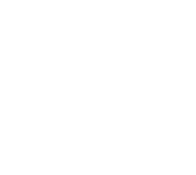 Grafini