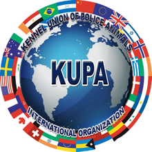 UFBA KUPA