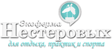 Village Eco