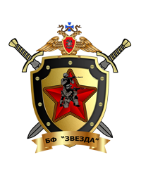 Bf «zvezda»