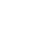 Cargo Volga