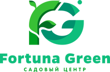 Fortuna Green