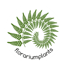 Florariumplants