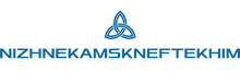 ООО «Хоккейный клуб «Нефтехимик» / ПАО «Нижнекамскнефтехим»