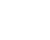 Детское модельное агентство STAR KIDS в Новосибирске / ООО «СТАР КИДС»