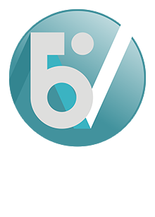 ООО «Бизнес Аналитик»