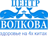 Центр Федора Волкова / ЧООО «Оптималист» / Челябинская областная общественная организация пропаганды здорового образа жизни «Оптималист»